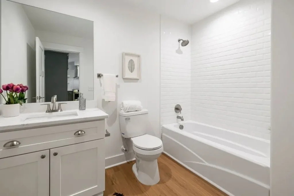 basic bathroom renovation